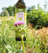 Eine Flasche BIO Mariendistelöl vor einer blühenden Mariendistel-Pflanze unter freiem Himmel.