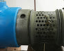 Kaltpressmaschine für Bio-Mariendistelöl, hergestellt von HerbaNordPol.